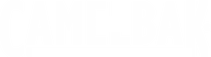 camelbak